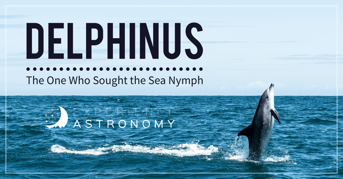 Delphinus - the One Who Sought the Sea Nymph
