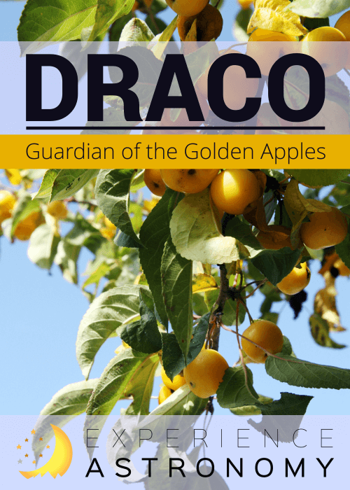 Draco-GuardianOfTheGoldenApples