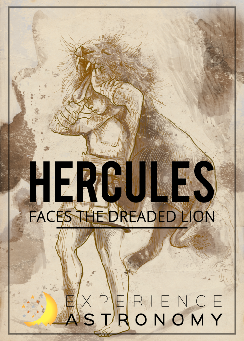 Hercules and the Lion