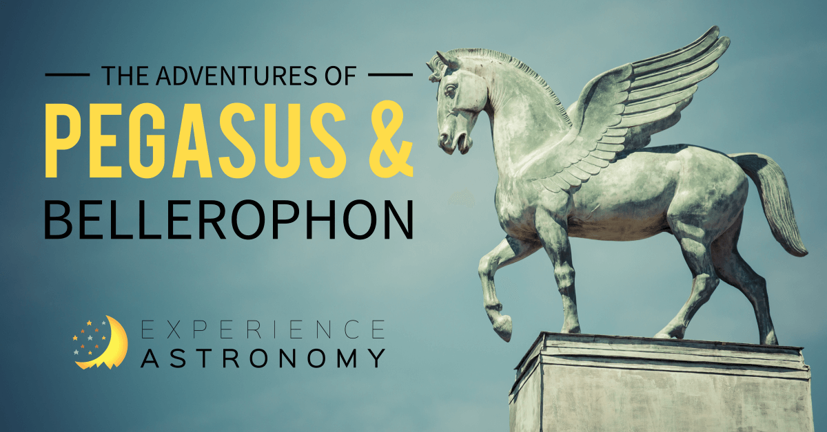The Adventures of Pegasus and Bellerophon