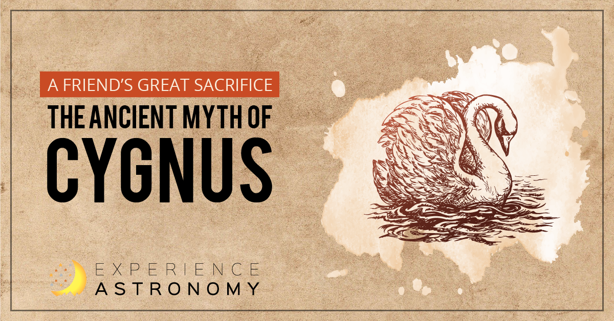 A Friend’s Great Sacrifice: The Ancient Myth of Cygnus