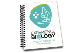 curriculumguide