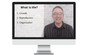 engagingvideolessons