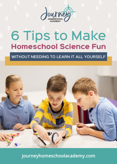 6 Tips To Make Homeschool Science Fun (Without Needing To Learn It All ...