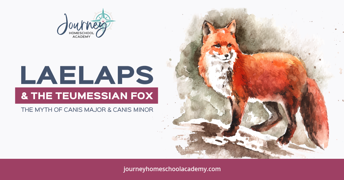 Laelaps and the Teumessian Fox: The Myth of Canis Major and Canis Minor