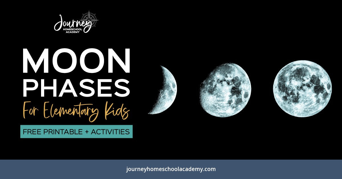 Moon Phases for Elementary Kids: Free Printable + Activities