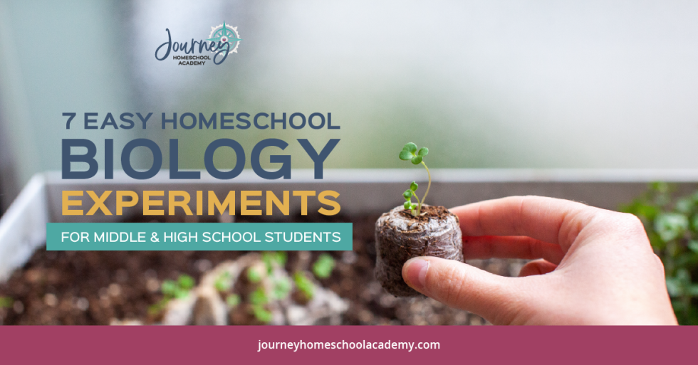 7-easy-homeschool-biology-experiments-for-high-school-students