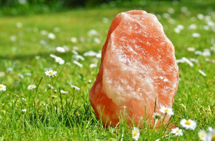 Rock salt in grass