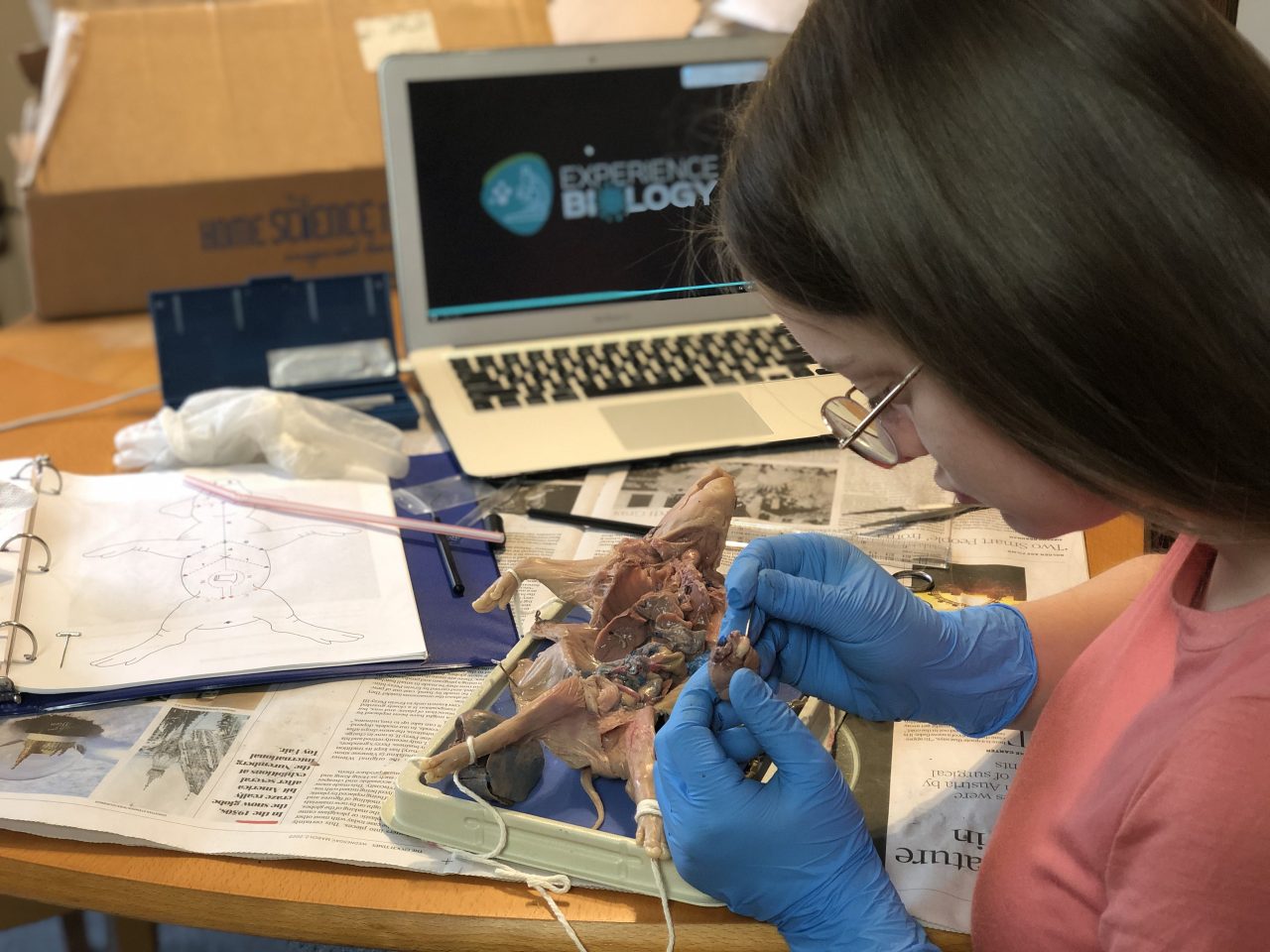 What Sets Us Apart Journey Homeschool Academy What Sets Us Apart Journey Homeschool Academy