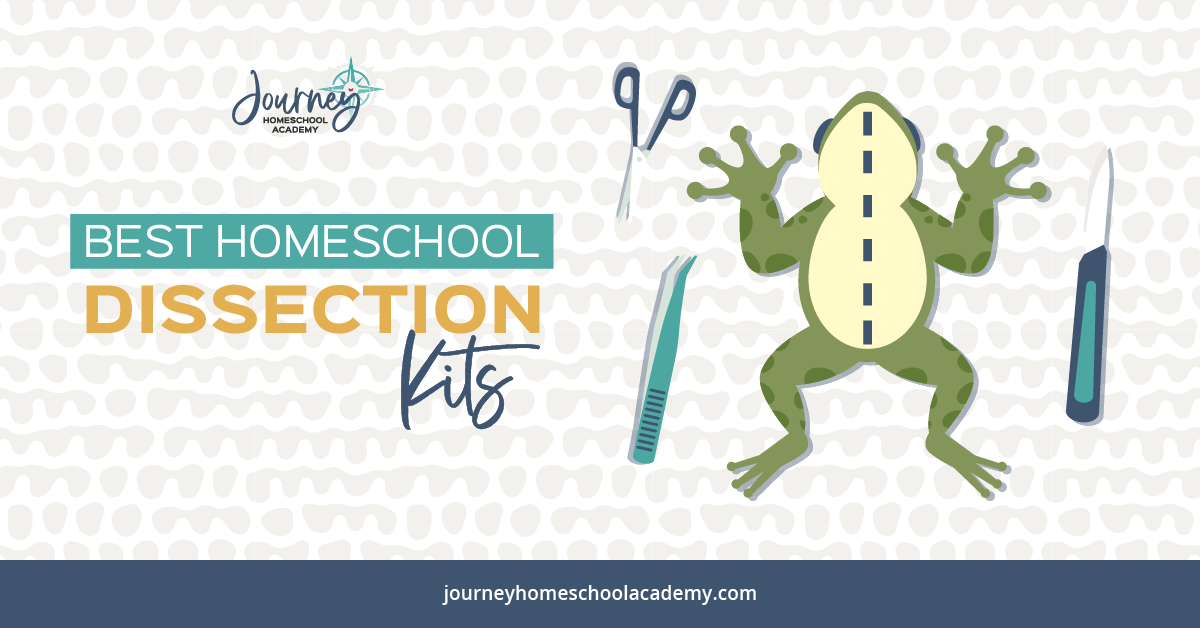 Best  Dissection Kits for Homeschool Science