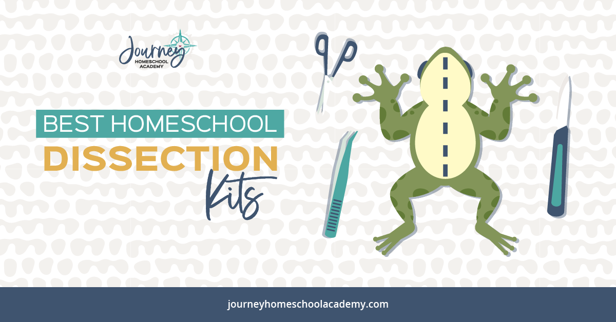 The Best Homeschool Dissection Kits