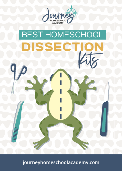 The Best Homeschool Dissection Kits