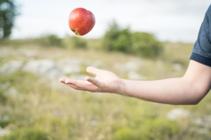 Newton's law apple physics and gravity