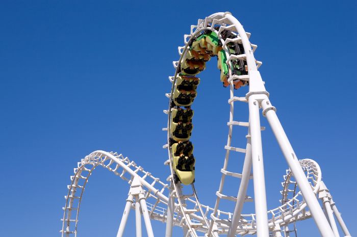 homeschool physics, kinematics, and roller coasters