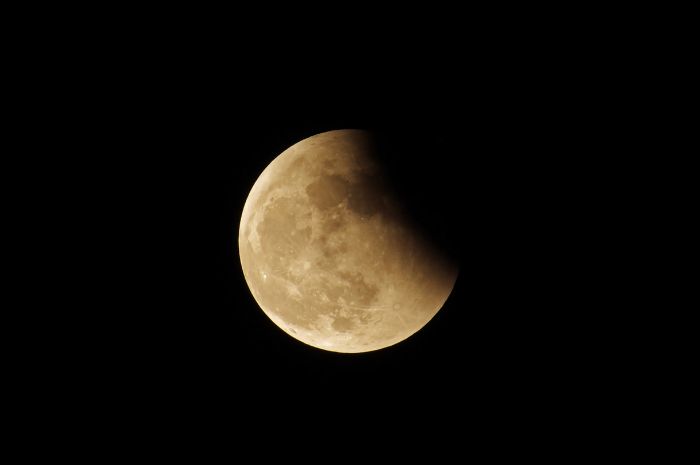Lunar Eclipse homeschool science