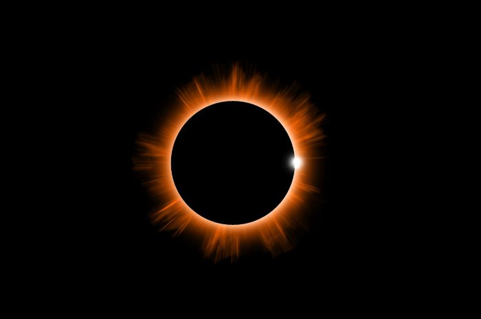 Solar eclipse homeschool science