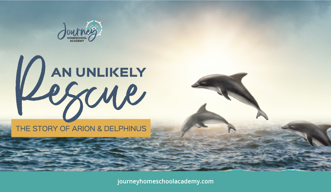 An Unlikely Rescue - Arion & Delphinus