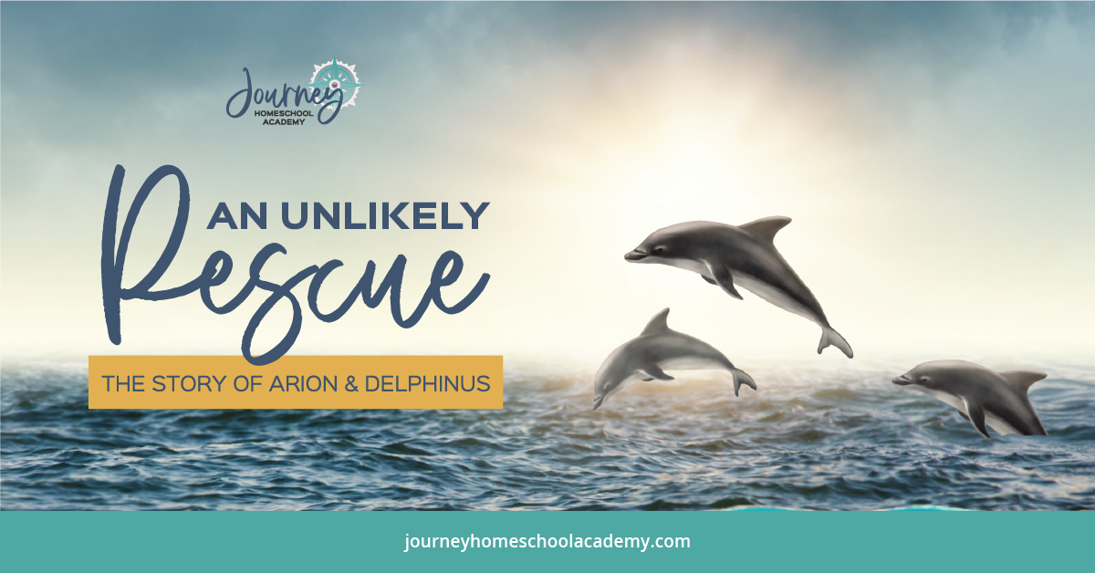 An Unlikely Rescue: The Story of Arion and Delphinus