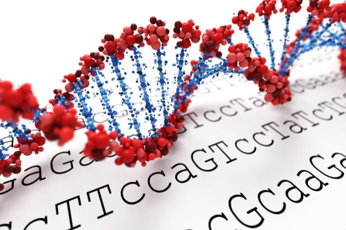DNA homeschool science biology