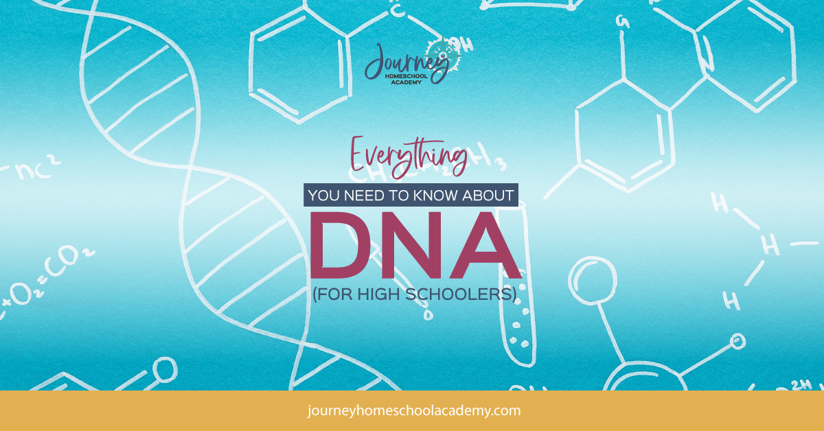 Everything You Need to Know about DNA For Homeschool Biology