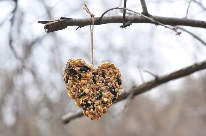 bird seed ornament Earth Day Homeschool project