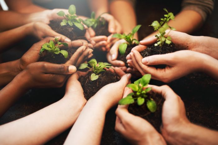 hands with plants Homeschool and earth day