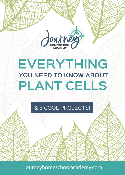 Everything You Need to Know About Plant Cells Homeschool Science