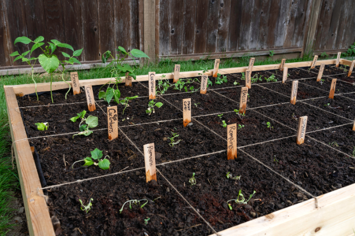 square foot garden engineering homeschool science