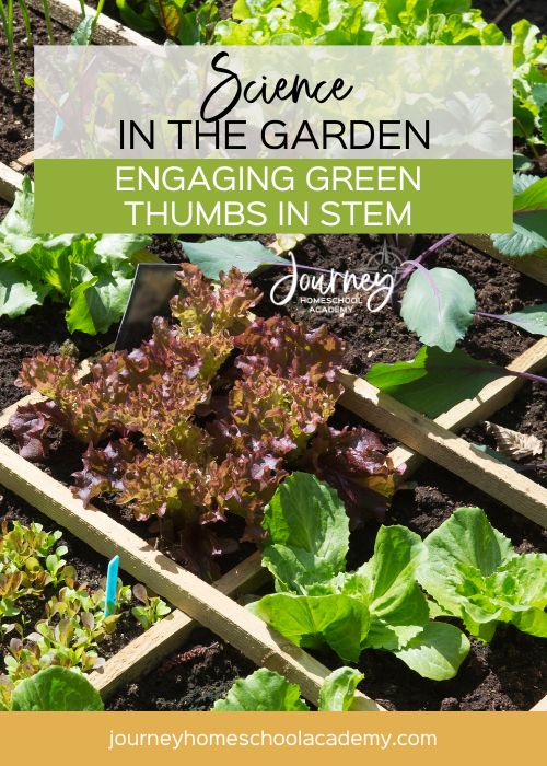 Science in Garden - Engaging Green Thumbs in STEM 