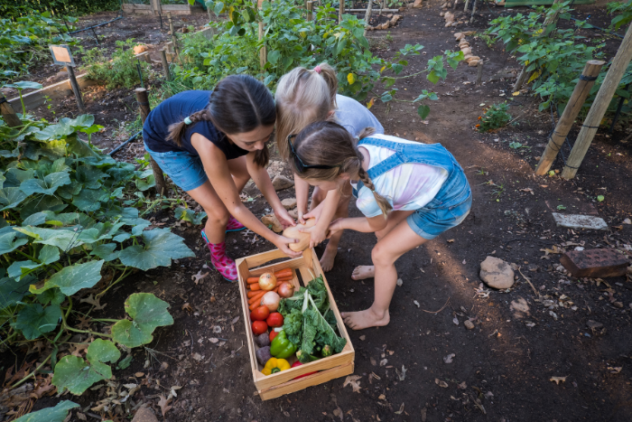 homeschool science math community garden 