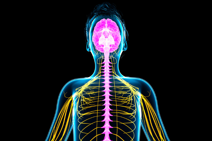 The Biology of Emotions & the Nervous System