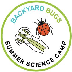 Backyard Bugs logo