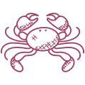 Crab