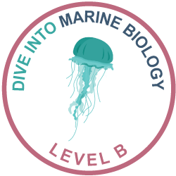 marine-biology-bw