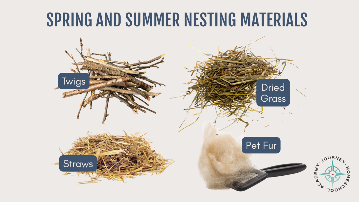 Spring and summer nesting materials including twigs, dried grass, straw, and pet fur, ideal for a bird nesting homeschool activity from Journey Homeschool Academy.