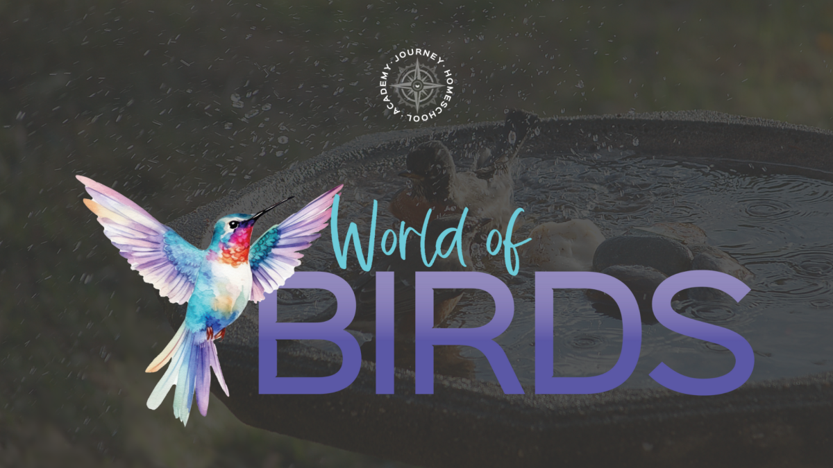 Journey Homeschool Academy World of Birds course graphic featuring hummingbird illustration—extension activity for providing water for birds in homeschool studies.