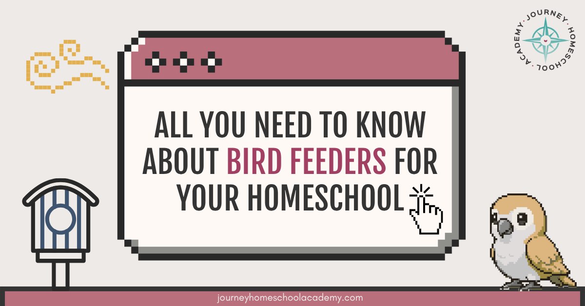 All You Need to Know About Bird Feeders for Your Homeschool
