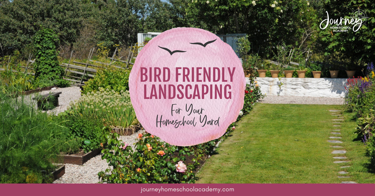 Bird Friendly Landscaping For Your Homeschool Yard