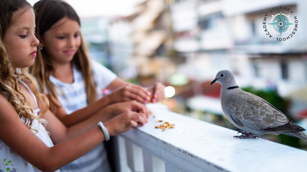Two children feeding a dove from a balcony as part of a homeschool nature study, demonstrating hands-on learning with bird feeders for homeschool families.