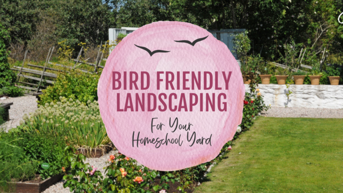 Journey Homeschool Academy bird friendly landscaping ideas for homeschool yards with garden beds and plants