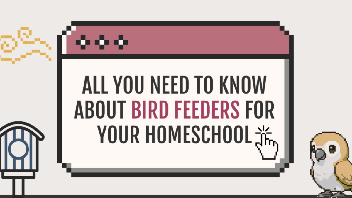 Journey Homeschool Academy bird feeders homeschool guide graphic with pixel style bird illustration