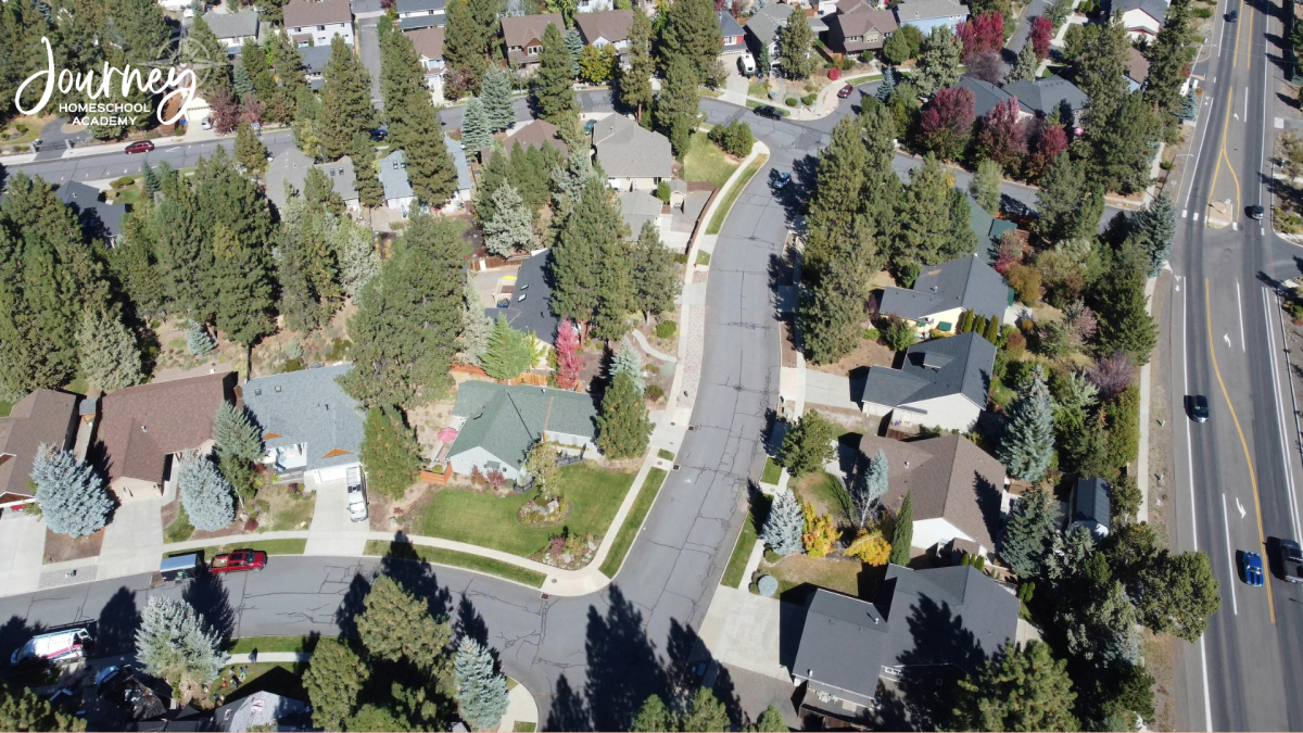 Aerial view of a suburban neighborhood with trees and yards, used to illustrate suburban backyard birding homeschool ideas and habitats.