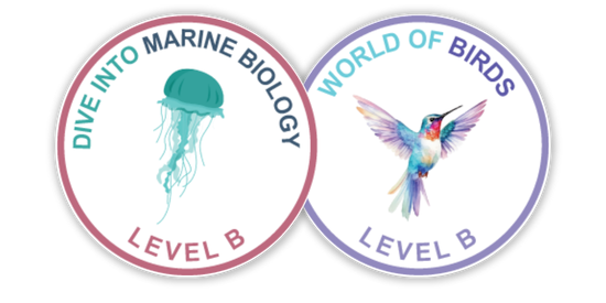 Experience Astronomy Elementary