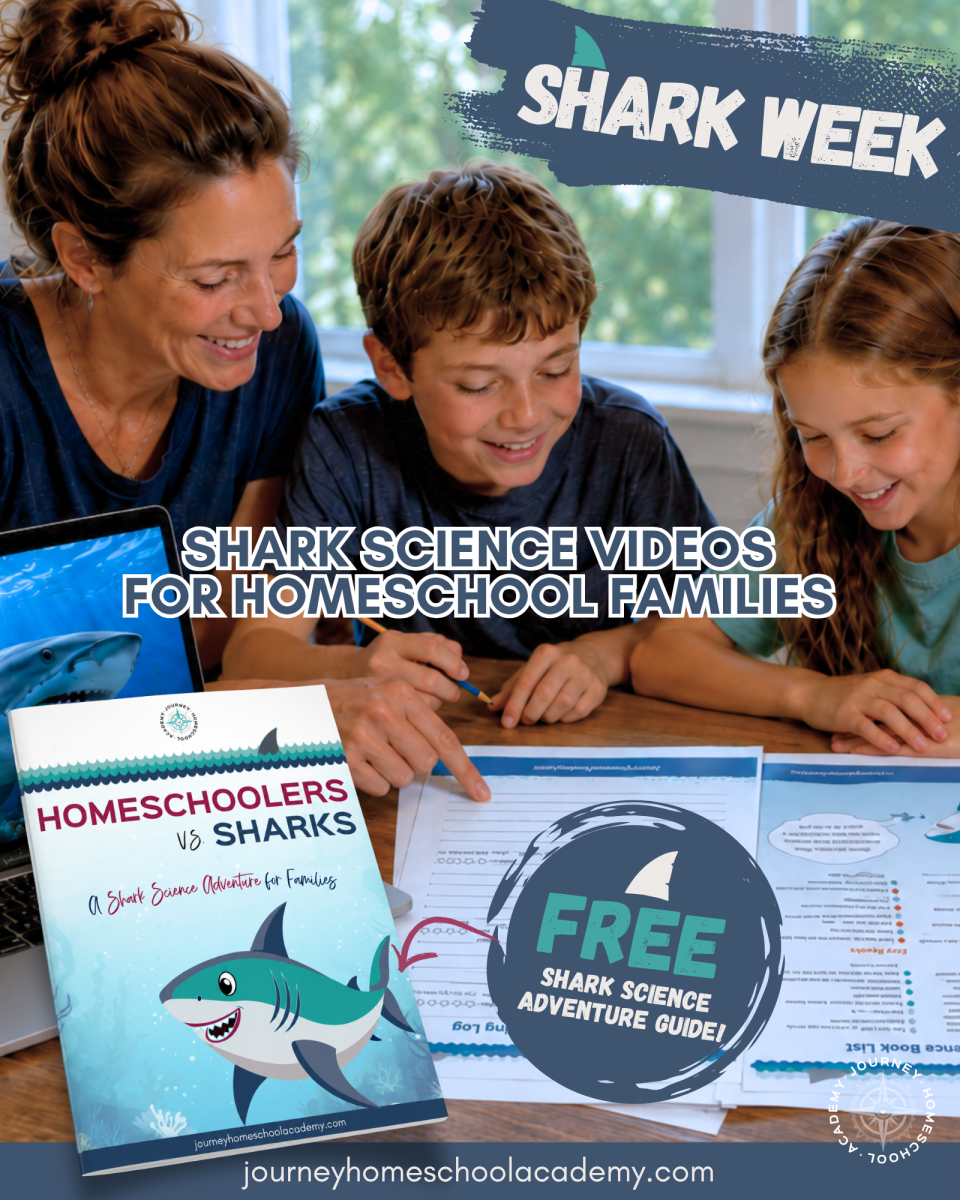 Shark Science Videos for Homeschool Families Featured Photo