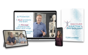 Discover Anatomy & Physiology
