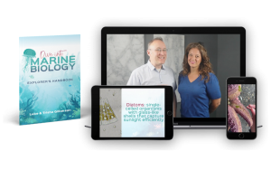 Dive Into Marine Biology Elective
